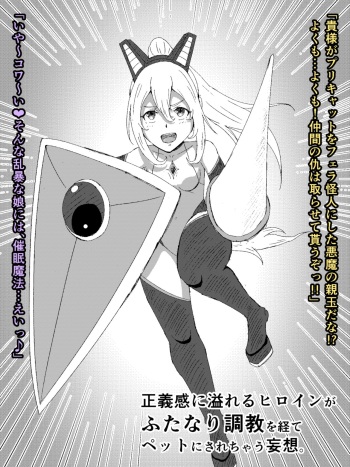 [Andoriyu] 戦うヒロインがふたなり調教を経てペットにされちゃう妄想。 cover