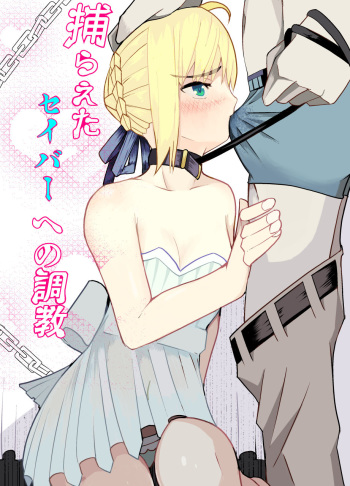 [ooooo (Mucukiva)] Toraeta Saber e no Choukyou (Fate/stay night) cover