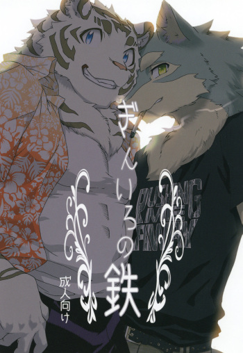 [Heisei Radio Denki (Kibayashi Oji)] Gin Iro no Tetsou cover