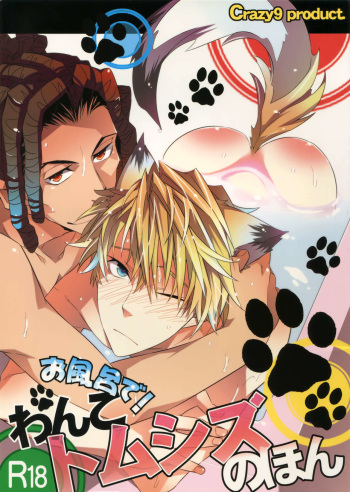 (C81) [Crazy9 (Ichitaka)] Ofuro de! Wanko TomShizu no Hon (Durarara!!) cover