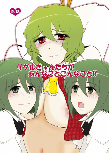 [Hyappo Hissatsu (Nodoka)] Wriggle-kyun-tachi ga Anna Koto Konna Koto!! (Touhou Project) [Digital] cover