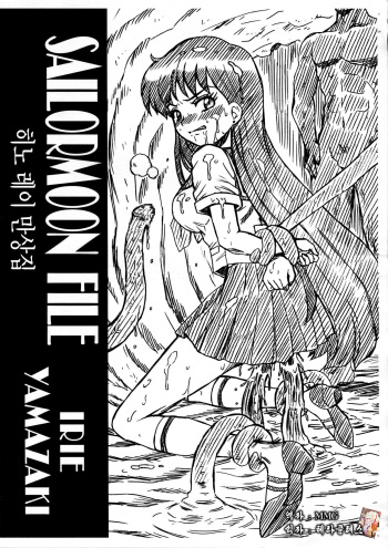 (C82) [Rat Tail (Irie Yamazaki)] SAILORMOON FILE Hino Rei Gazoushuu (Bishoujo Senshi Sailor Moon) [korean] cover