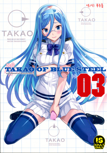 (C86) [Kotonosha (Mutsumi Masato)] TAKAO OF BLUE STEEL 03 (Arpeggio of Blue Steel) [Korean] cover