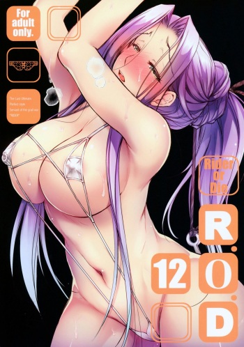 (C93) [Kaiki Nisshoku (Ayano Naoto)] R.O.D 12 -Rider or Die- (Fate/hollow ataraxia) [Korean] cover