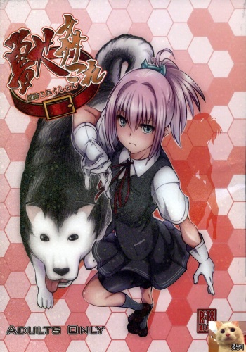 (SC61) [Zensoku Rider (Tenzen Miyabi)] Juukan Collection (Kantai Collection -KanColle-) [Korean] [좆냥이] cover