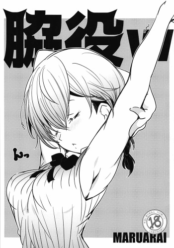 (COMIC1☆13) [Maruarai (Arai Kazuki)] Wakiyaku w (Bokutachi wa Benkyou ga Dekinai) cover