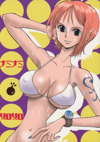 (C62) [Cha Cha Cha Brothers, Rupinasu Touzokudan (Yokoyama Chicha)] Naminami Zorozoro (One Piece) cover