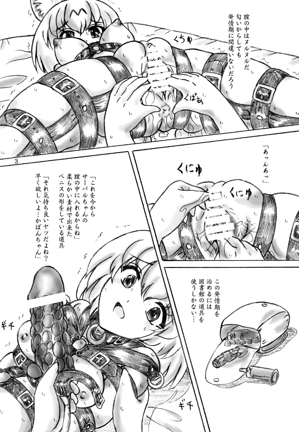Hatsujouki Friends page 3 full