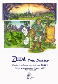 Zelda Twin Destiny