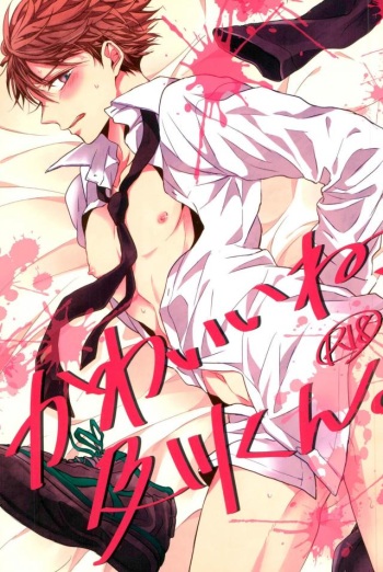 (RTS!!10) [Aquarium (Pakaru)] Kawaii ne, Oikawa-kun. (Haikyuu!!) cover