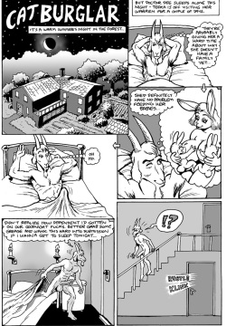 Cat burglar