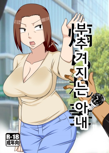 (COMIC1☆11) [Freehand Tamashii (DT Hone)] Aorare Tsuma | 부추겨지는 아내 [Korean] cover