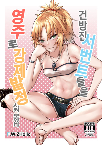 [F.W.ZHolic (FAN)] Namaiki na Servant-tachi o Reiju de Kyousei Hatsujou Sasete Mita | 건방진 서번트들을 영주로 강제발정 시켜 보았다 (Fate/Grand Order) [Korean] [Digital] cover
