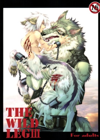 (C78) [GoldenDawn89 (Karitaka Akira, Ono Nui)] THE WILD LEG III cover
