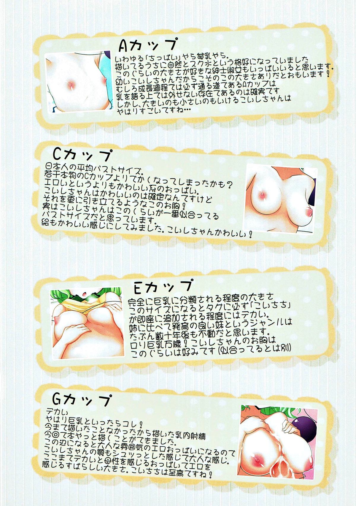 Koichichi ga Ippai!! page 11 full