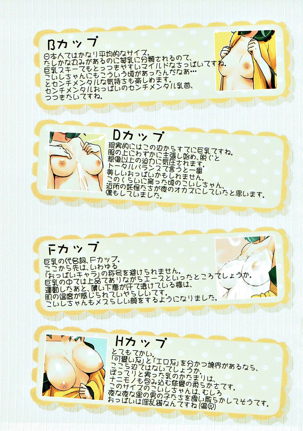 Koichichi ga Ippai!! page 12 full