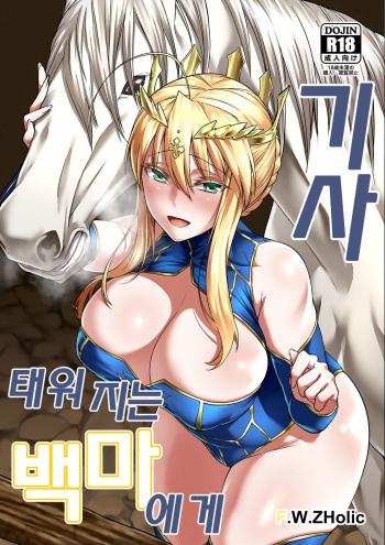 [F.W.ZHolic (FAN)] Hakuba ni Norareru Kishi | 태워지는 백마에게 기사 (Fate/Grand Order) [Korean] [Digital] cover