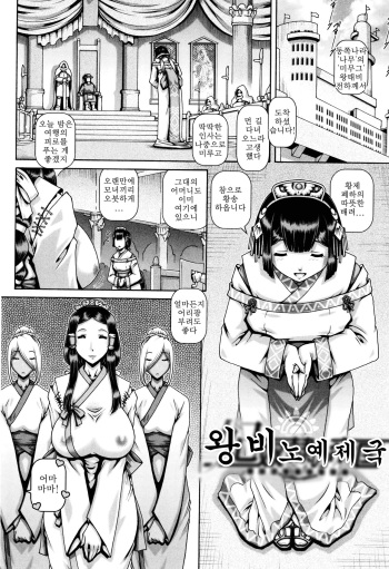 [TYPE.90] Kisaki dorei no tei kuni | 왕비 노예 제국 (Jyuai Kantsu) [Korean] cover