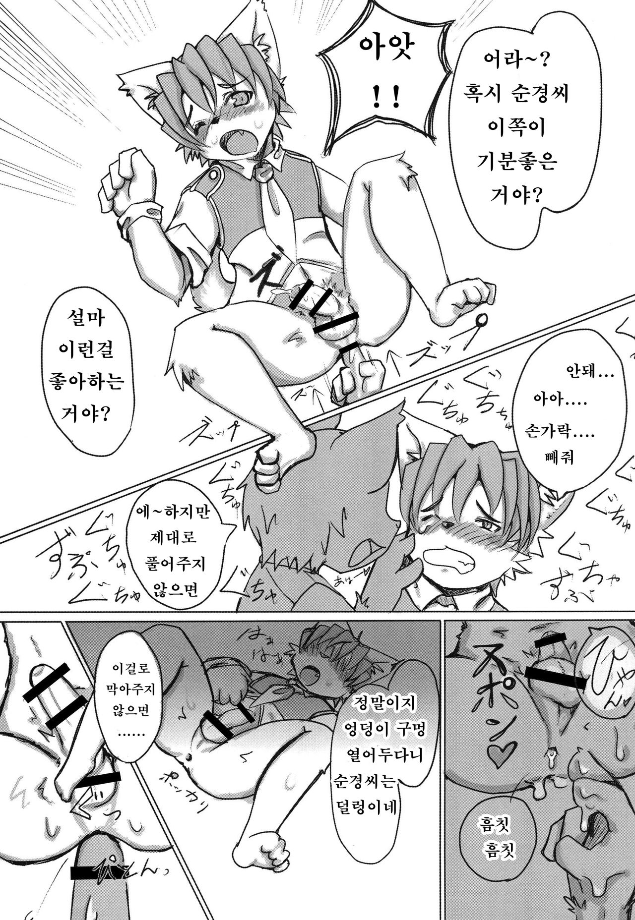 W/P page 12 full