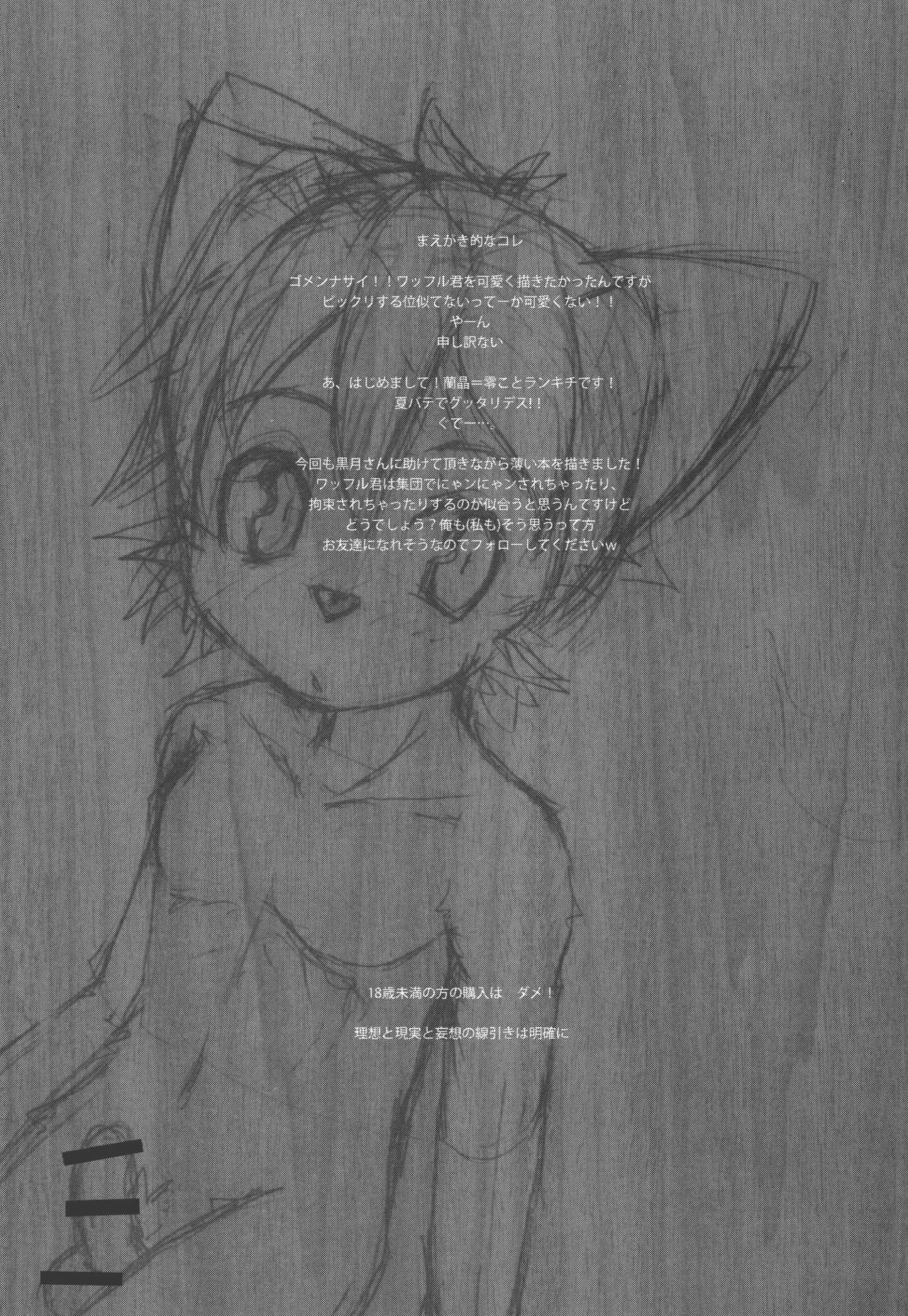 W/P page 6 full