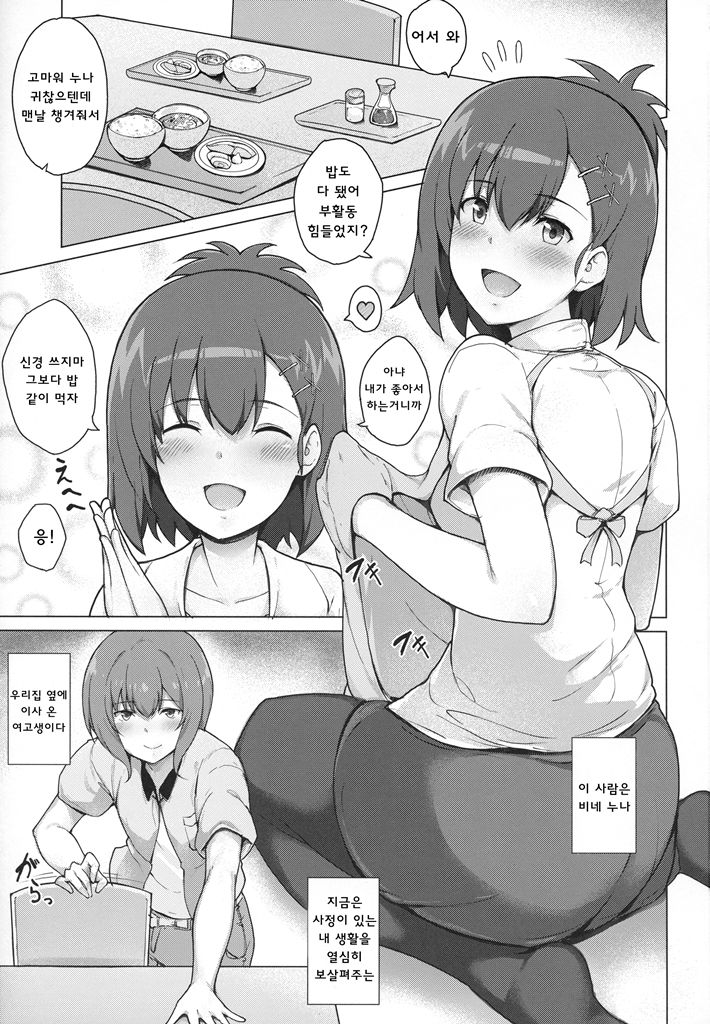 Succubus Vigne Onee-chan to Amaama Sex | 서큐버스 비네 누나랑 달달한 섹스 page 2 full