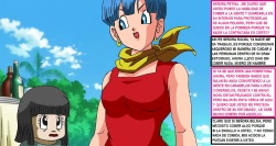BULMA Y PETISA SAGA MAJIN BU