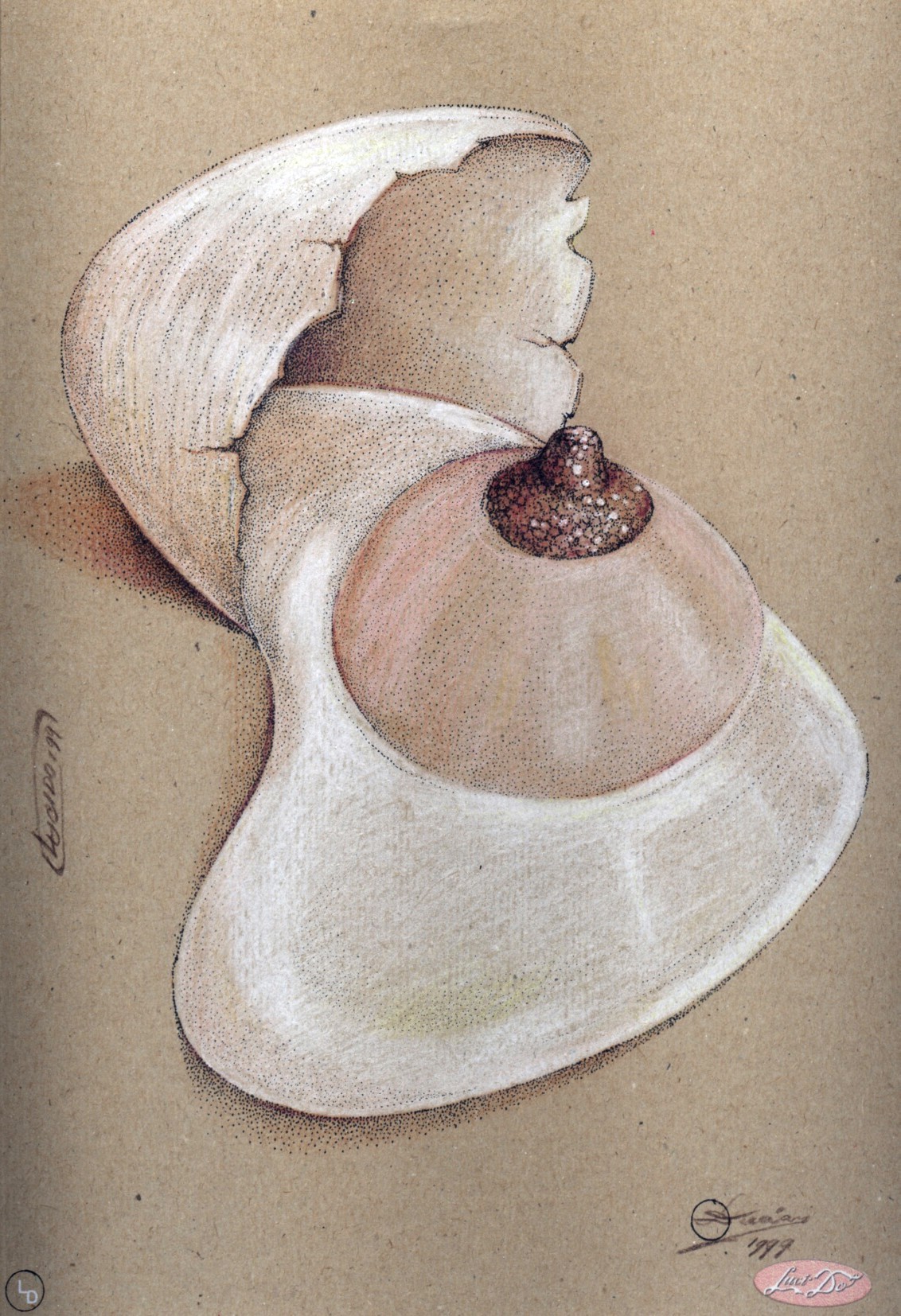 Food page 7 full