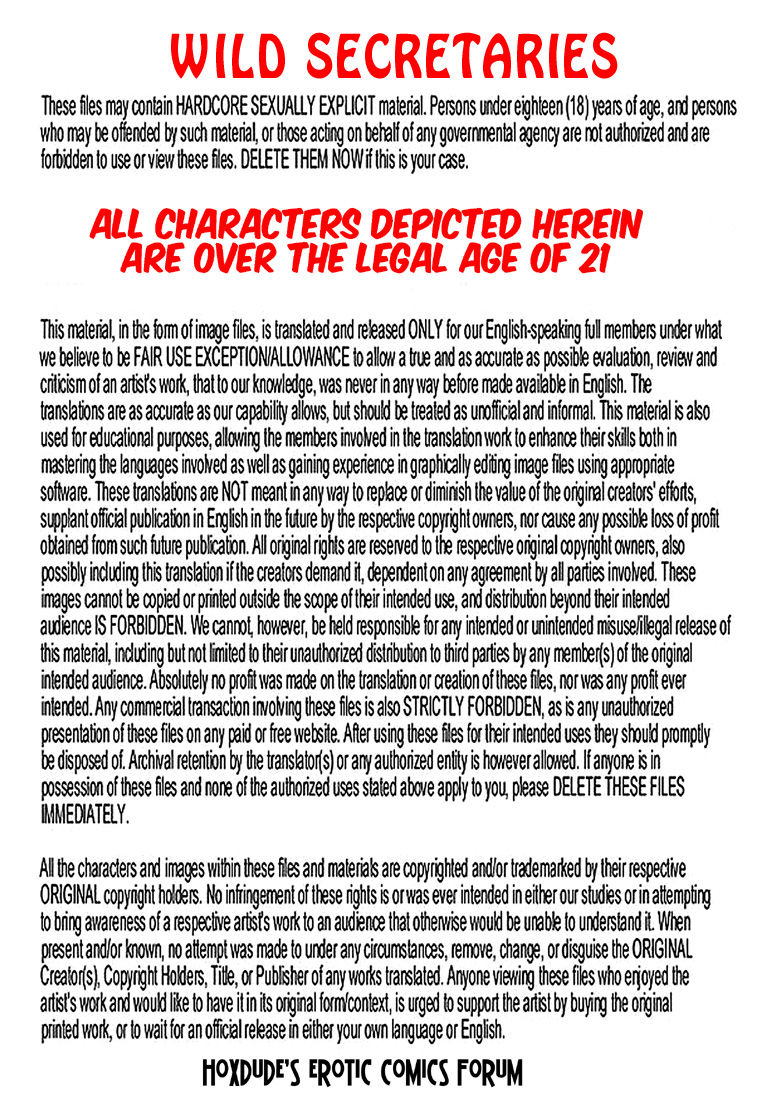 WILD SECRETARIES - BY CHRIS - ENGLISH TRANSLATION page 3 full