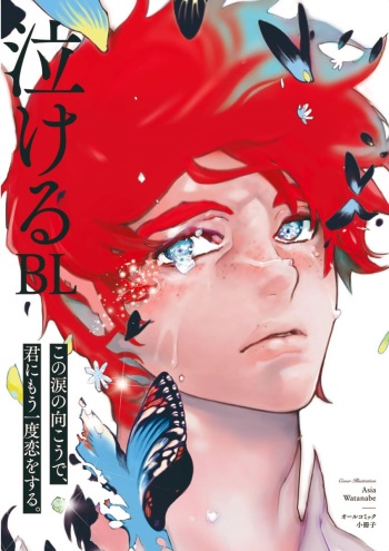 Nakeru BL [MAGAZINE BE×BOY 2016-05] cover