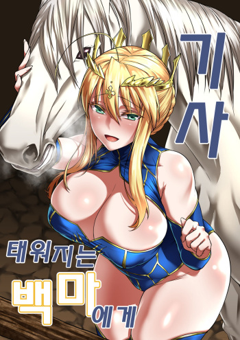 [F.W.ZHolic (FAN)] Hakuba ni Norareru Kishi (Fate/Grand Order) [Korean] [Digital] cover