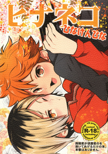 (IDLING ATTACKER7) [Chigen TORINO (S.kosugi)] Hina Neko (Haikyuu!!) cover