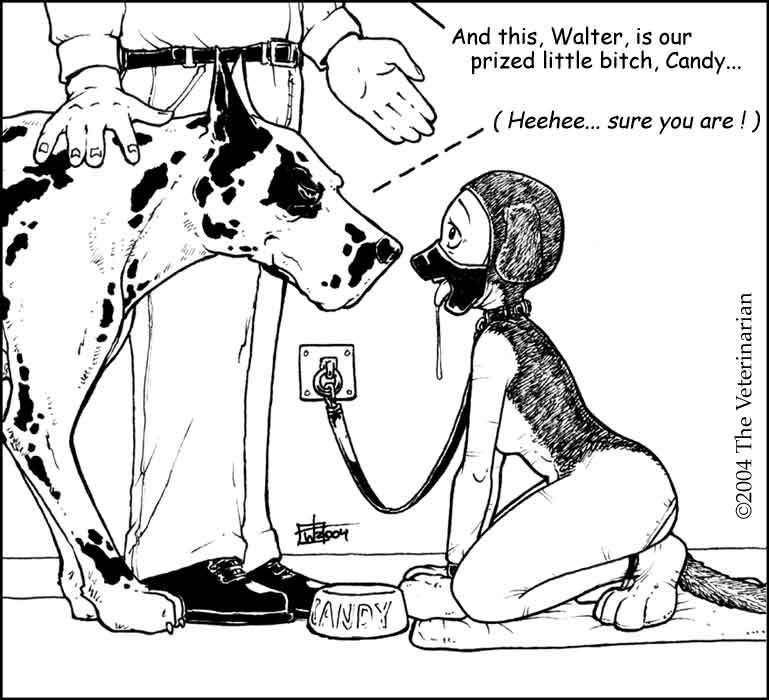 Artist Gallery - The Veterinarian page 9 full