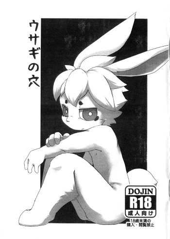 (C85) [Sumikko (Kuroi Sumi)] Usagi No Ana cover