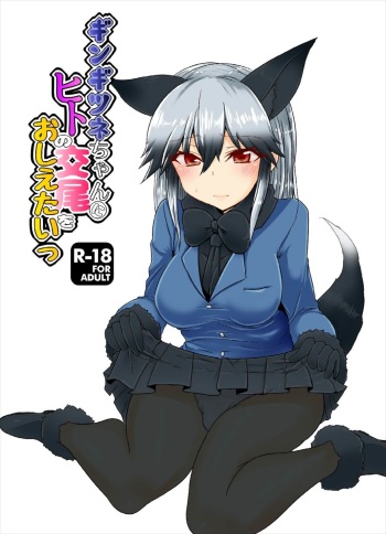 (Japariket 3) [Caution (Eitaisa)] Gingitsune-chan ni Hito no Koubi o Oshietai (Kemono Friends) cover