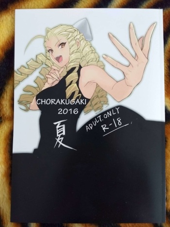 (C90) [Kimuchi (tetsu)] CHORAKUGAKI 2016 Natsu (Street Fighter) cover