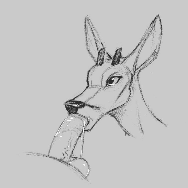 Animations/GIFs page 3 full
