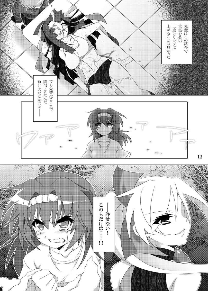 Kentou Shoujo Yuki Prologue Book page 11 full