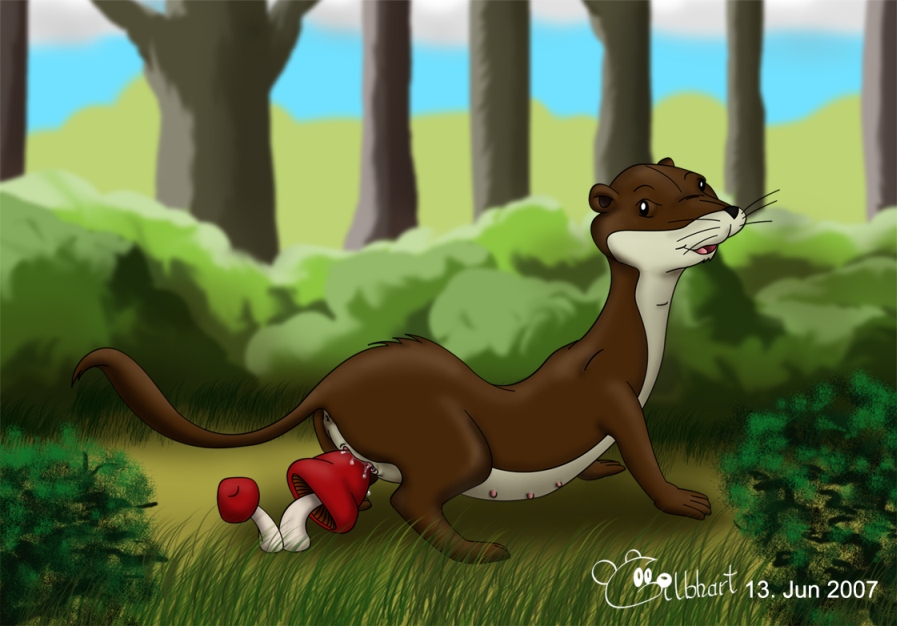 The Animals of Farthing Wood page 11 full