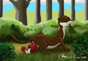 The Animals of Farthing Wood (RYC) cover