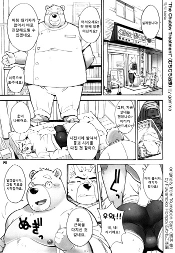 (C88) [Fuwamoko Honpo (gamma)] Muchimuchi Chiryou | 통통치료 (Kumabon San) [Korean] cover