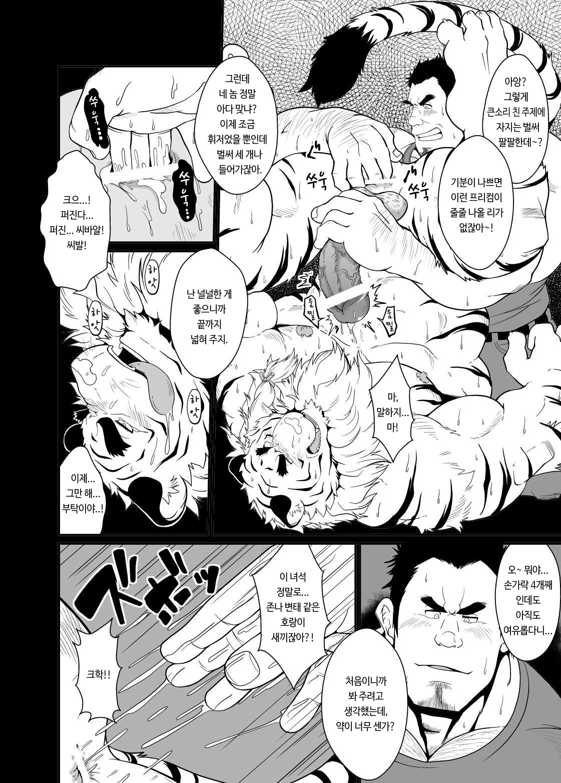 Toradorei -KEMONO Company 2- | 호랑이 노예 -KEMONO 컴퍼니 2- page 11 full