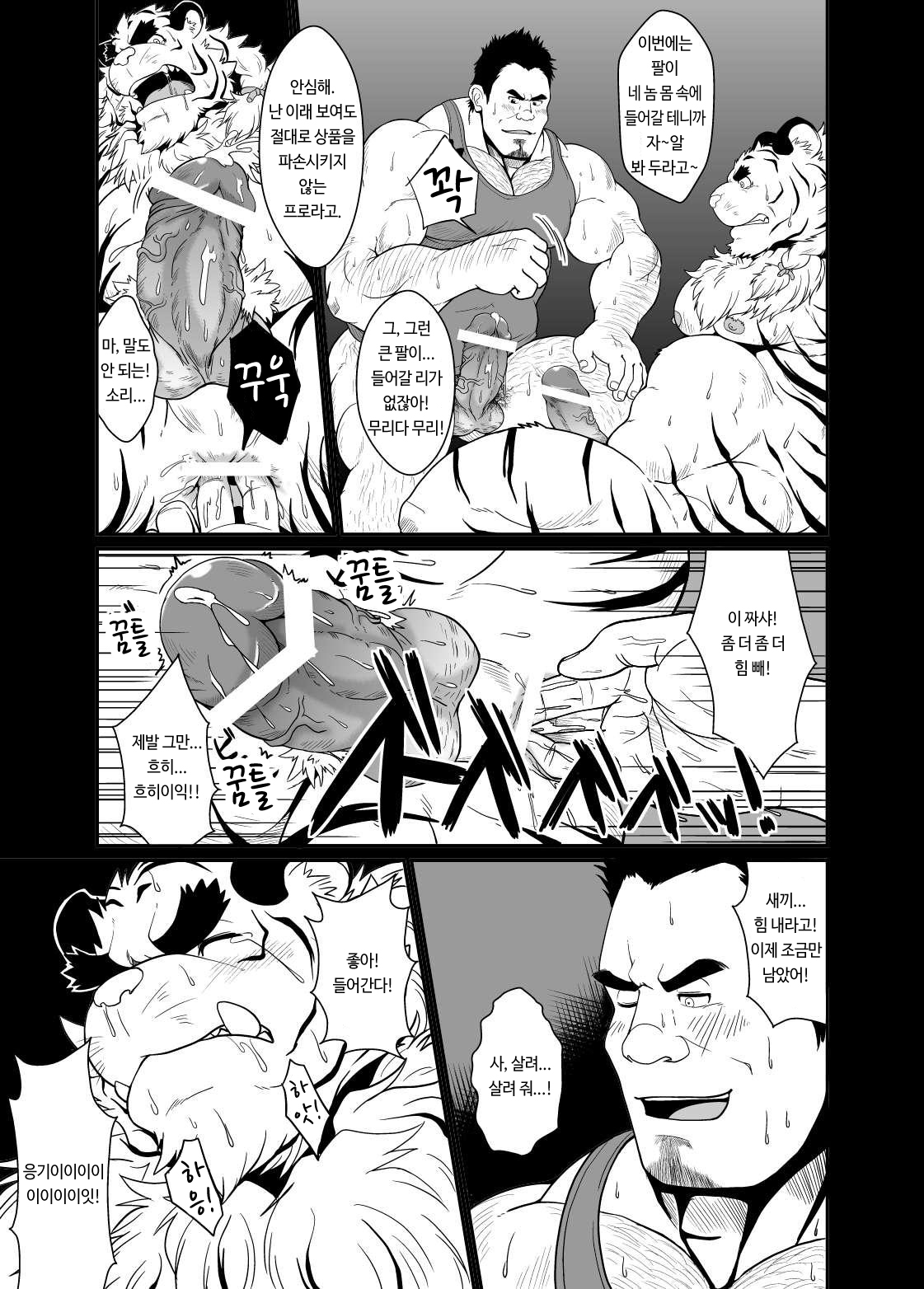 Toradorei -KEMONO Company 2- | 호랑이 노예 -KEMONO 컴퍼니 2- page 12 full