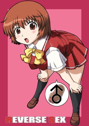 [Salvage Kouboh (Houou-tan)] REVERSE SEX (Kashimashi ~Girl meets Girl~) [Digital] cover
