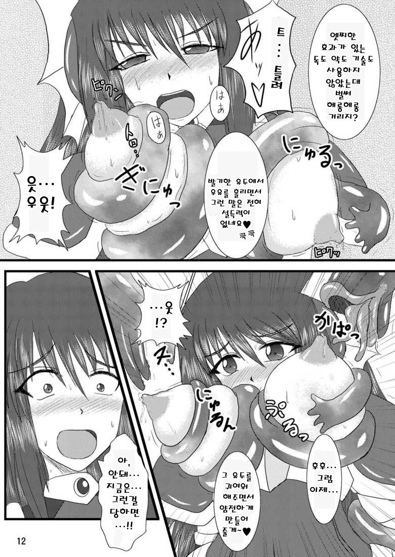 Shield Knight Elsain Vol.2 "Nightmare Agitator page 12 full