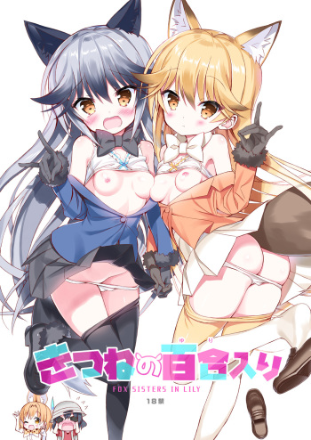 (C93) [Moe Moe Cafe (Takahashi Tetsuya)] Kitsune no Yuriiri (Kemono Friends) [Korean] cover