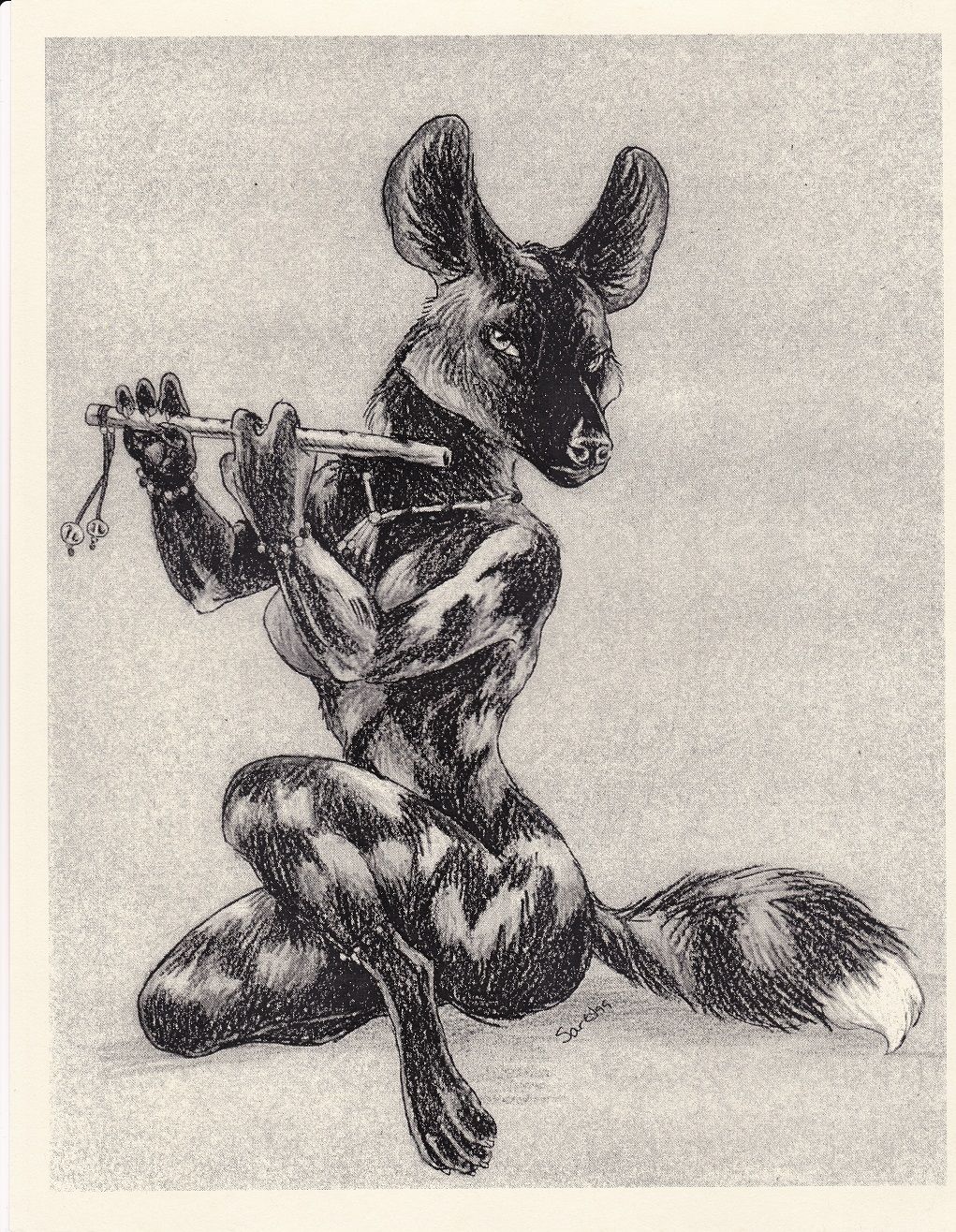 Wild Dogs page 11 full
