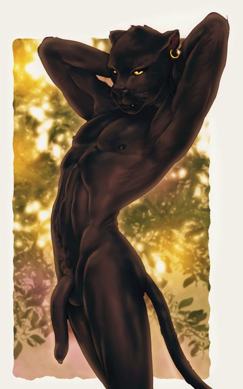 Custom Image Pack Collection page 3 full