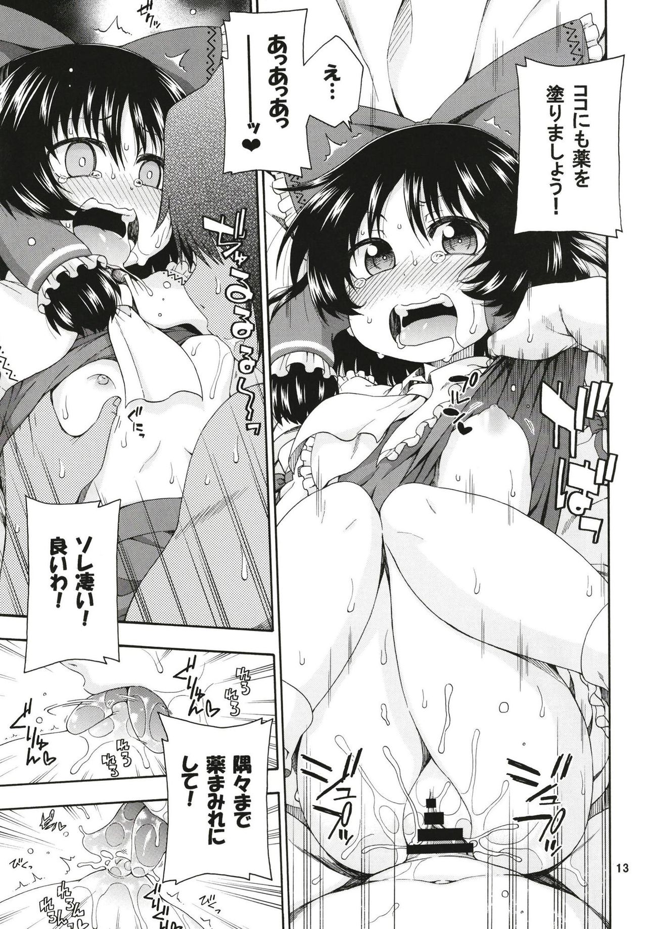 Touhou Meiko ~Reimu Hen~ page 12 full