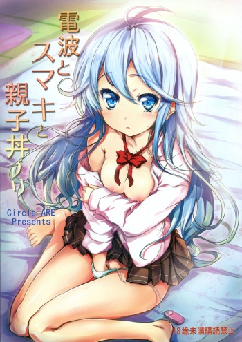 (COMIC1☆5) [Circle ARE (Kasi)] Denpa to Sumaki to Oyakodonburi (Denpa Onna to Seishun Otoko) cover
