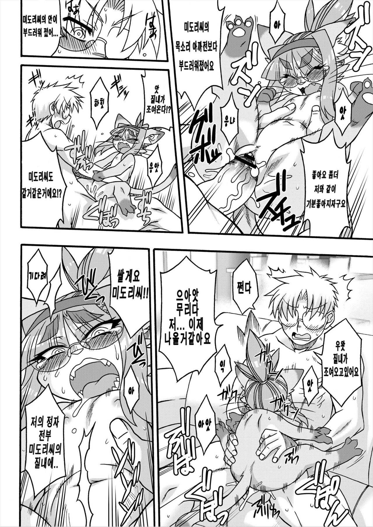 Neko Kano no Midori-san | 고양이 여친 미도리씨 1 page 12 full